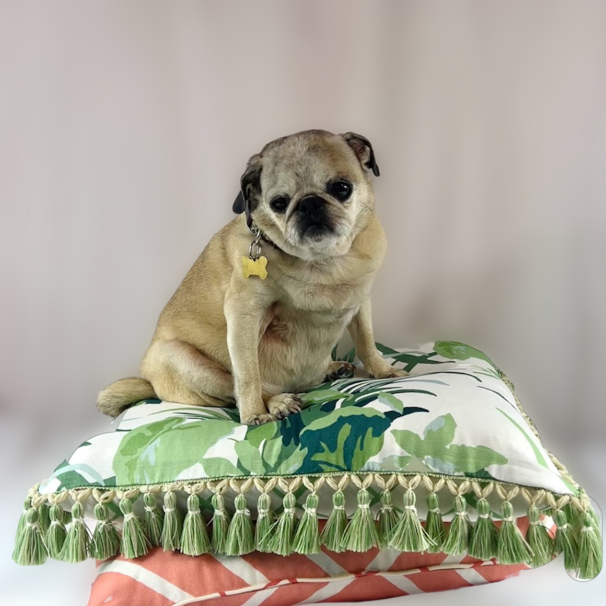 Jungle Road Barbados Green 22” Square Pillow
