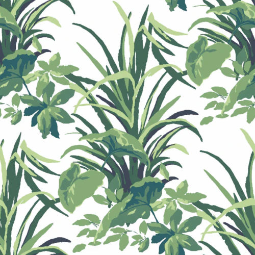 Jungle Road Palm Wallpaper Sample