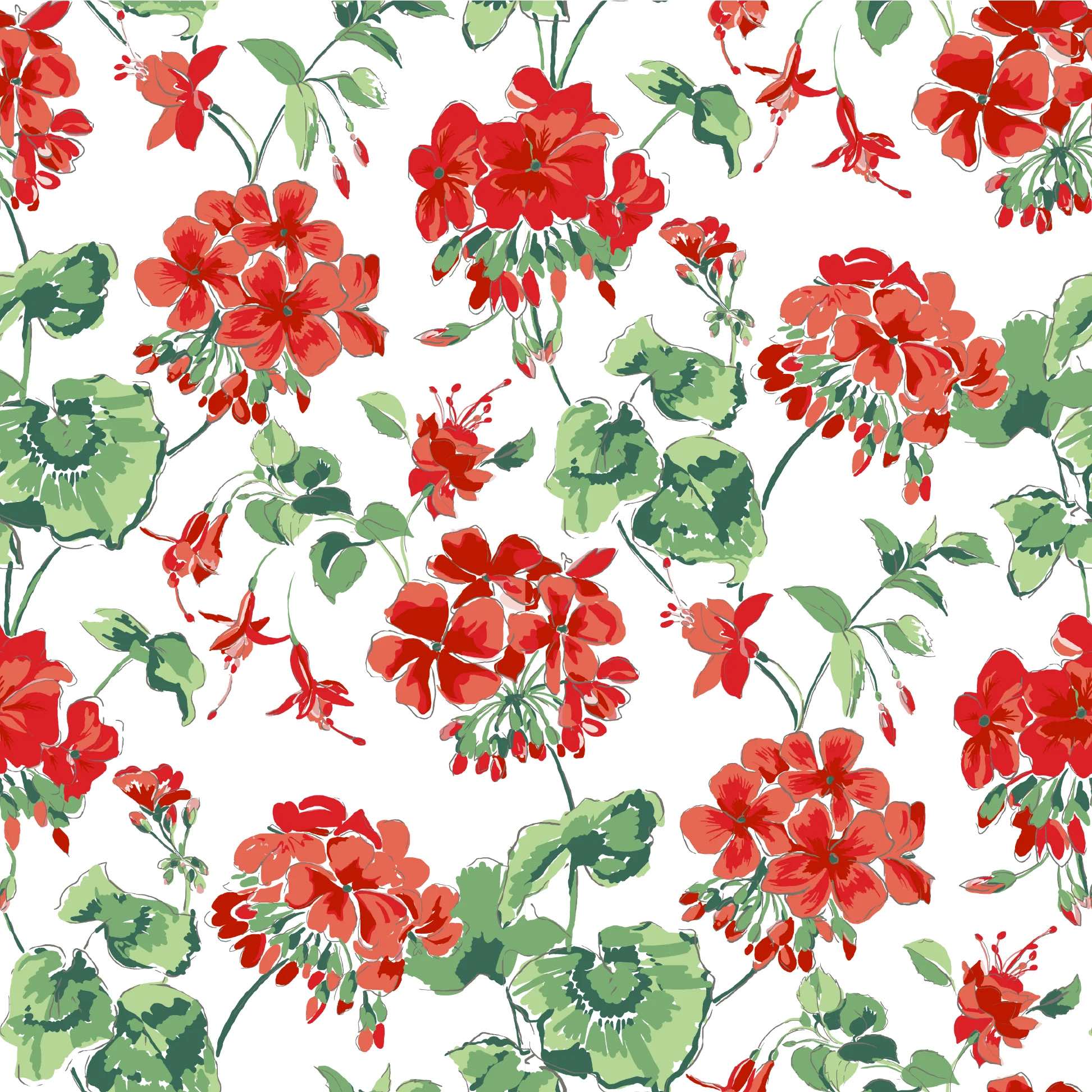 Geranium wallpaper featuring red geraniums on a white background.