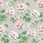 Geranium wallpaper featuring white and pink geraniums on a grey background.