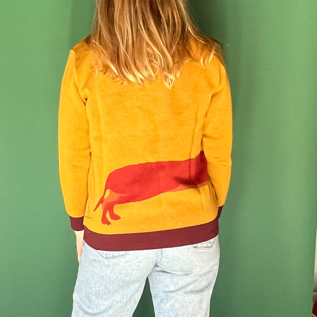 The back view of a dachshund sweater showing the dog's hind legs and tail