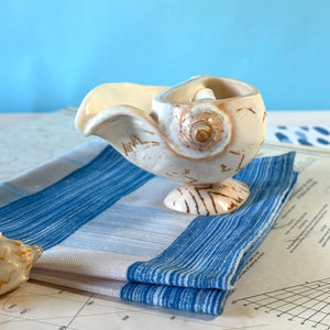 Shells Decorative Object