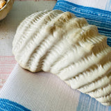 White Oyster Shell Stoneware Dishes, Set of 2