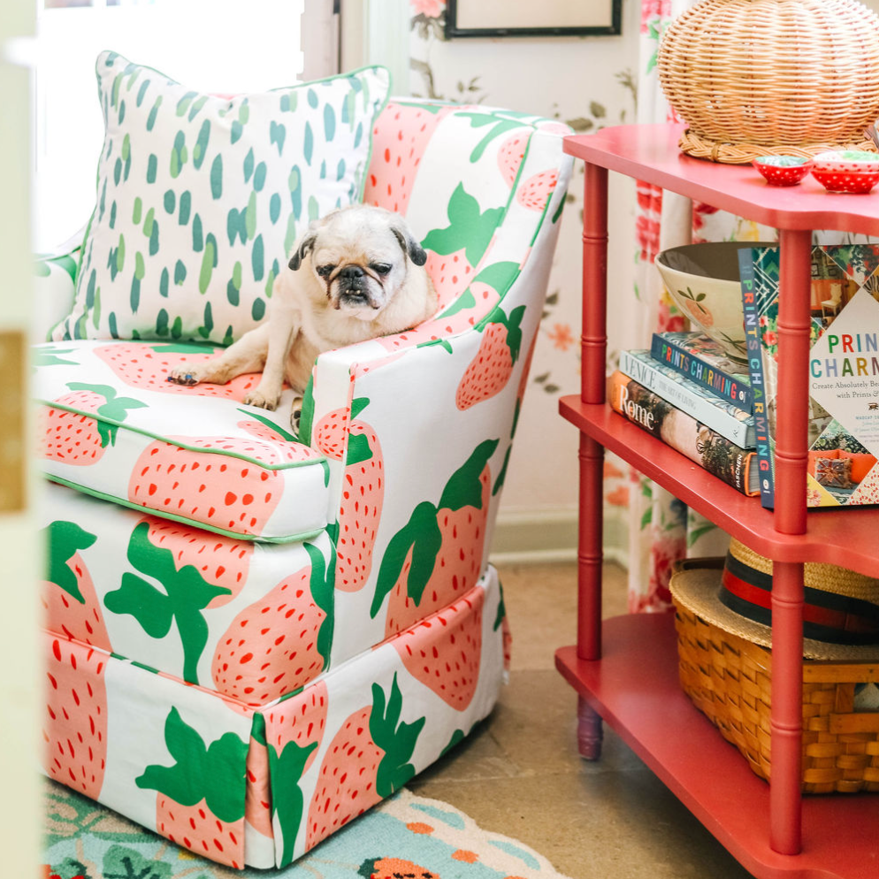 A pug dog sitting on a strawberry fabric covered chair by Madcap Cottage. 