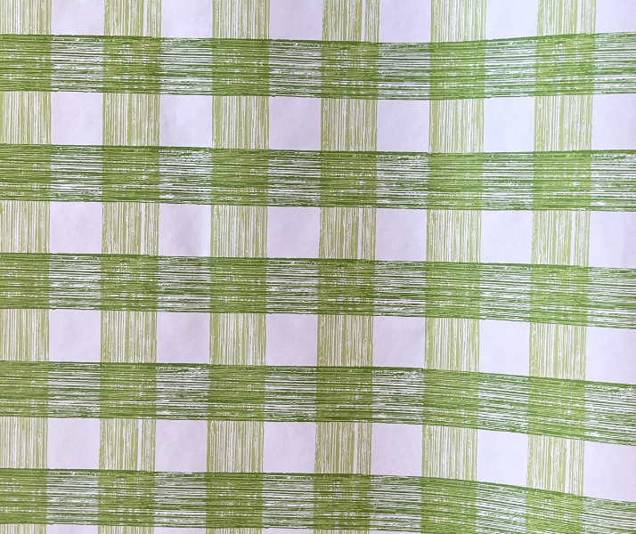 A green gingham wrapping paper 