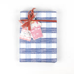Top view of a gift wrapped in blue gingham Christmas paper with pink ribbon and holiday tag.