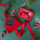 Letter to Santa Gift Card Holder Felt Christmas Ornament