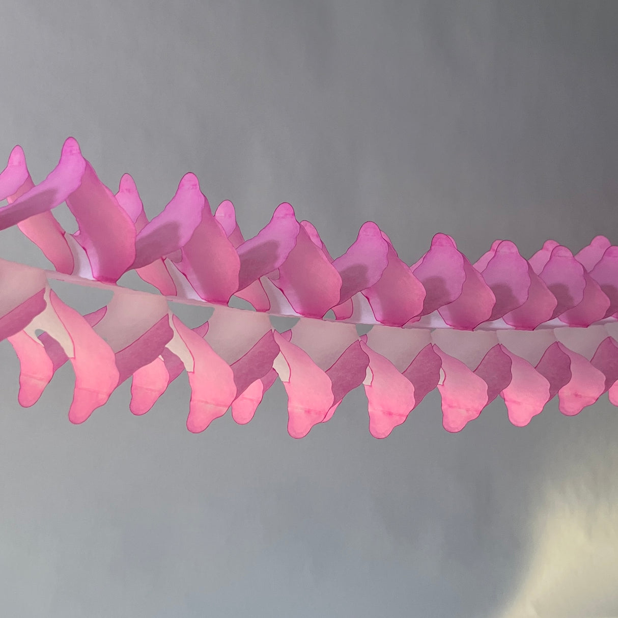 Pink/White Tissue Paper Garland