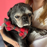Plaid Dog/Cat Bowties, Medium/Large