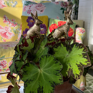 Gilt Metal Easter Bunny Plant Stakes, Set of 2