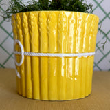 Vintage Yellow Asparagus/Green Asparagus Planters, Set of 2