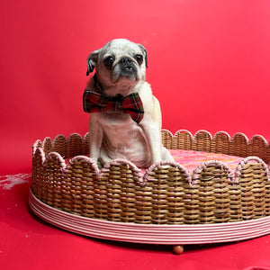 Scalloped Rattan Dog Bed