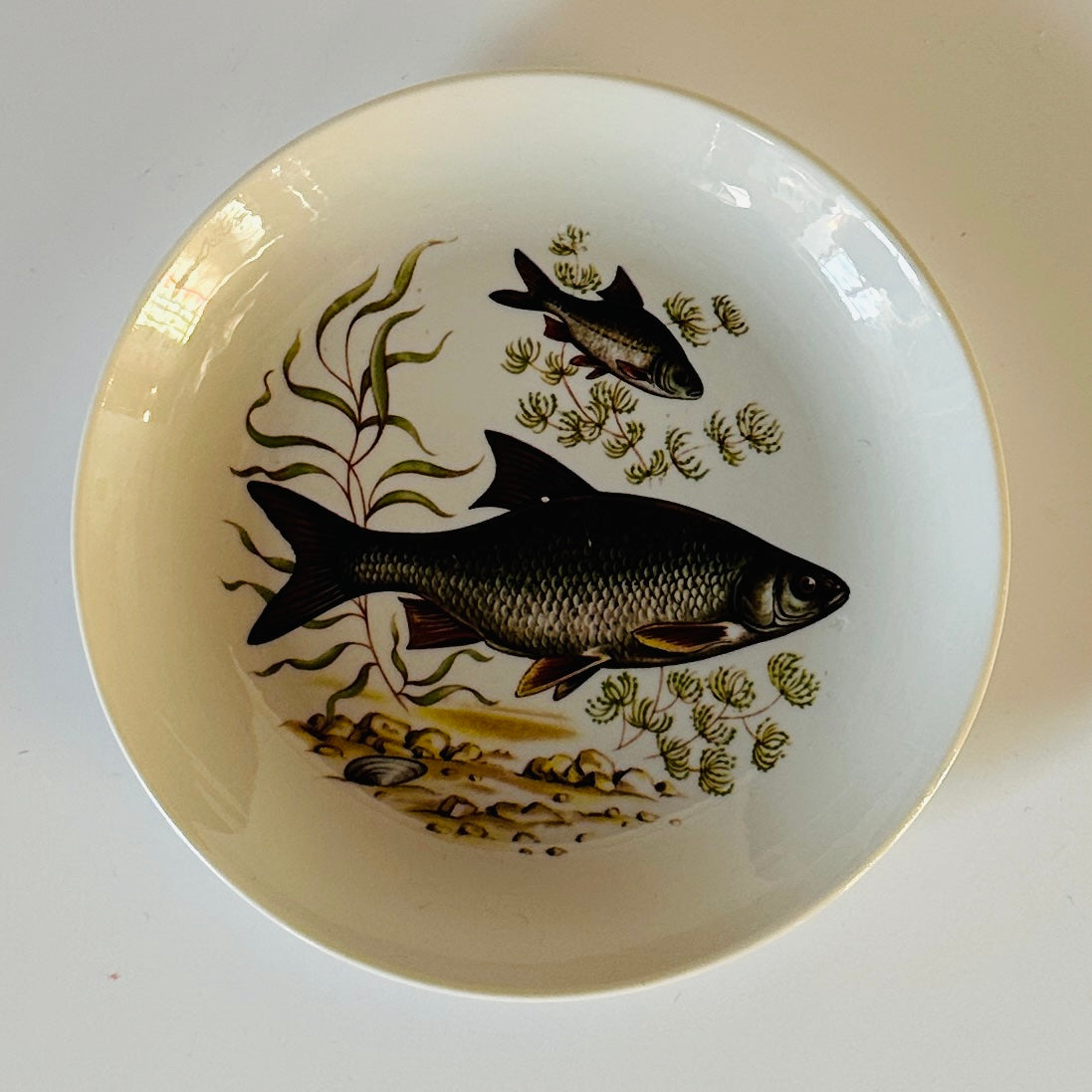 Vintage Fish Accent Plates, Set of 3