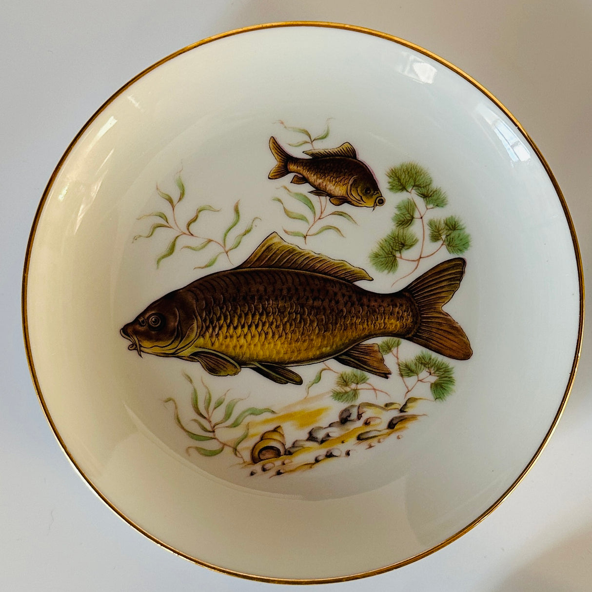 Vintage Gilt-Rimmed Fish Accent Plates, Set of 5