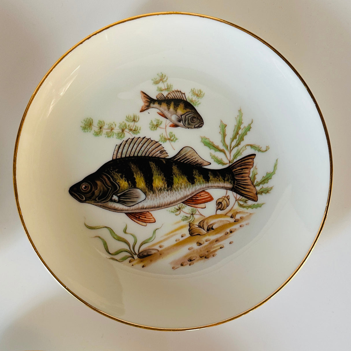 Vintage Gilt-Rimmed Fish Accent Plates, Set of 5