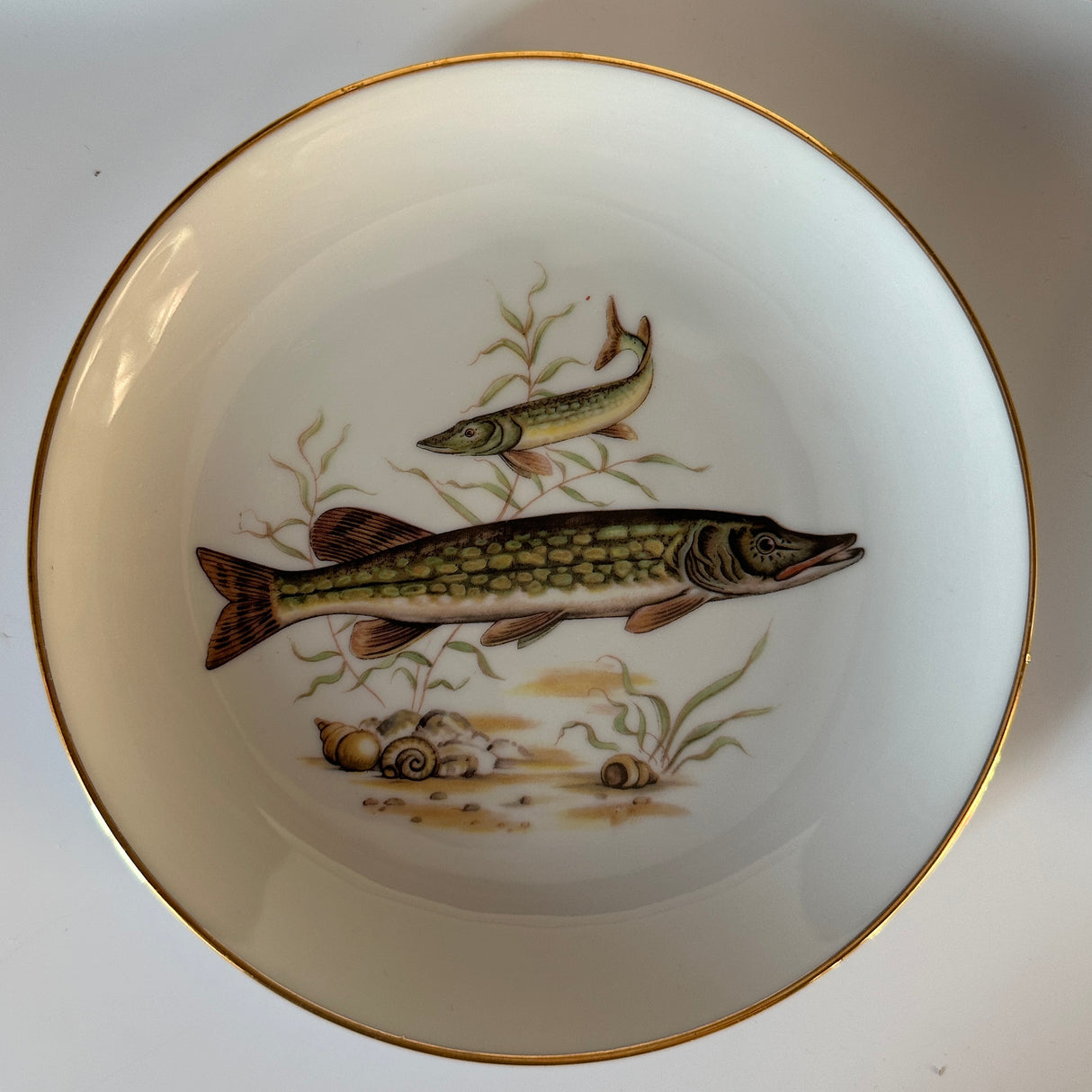 Vintage Gilt-Rimmed Fish Accent Plates, Set of 5