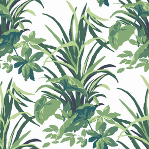 Jungle Road Fabric Samples