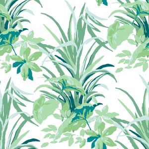 Jungle Road Unpasted Wallpaper, 9-yard roll