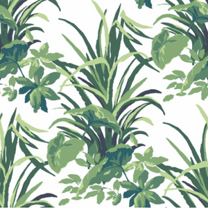 Jungle Road Unpasted Wallpaper, 9-yard roll