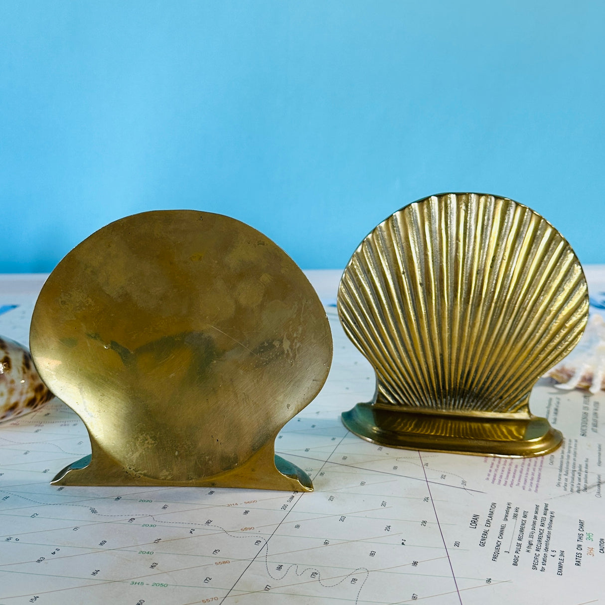 A pair of vintage brass shell book ends with one book end showing its reverse side. 