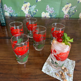 Vintage Run for the Roses Drinks Glasses, Set of 6