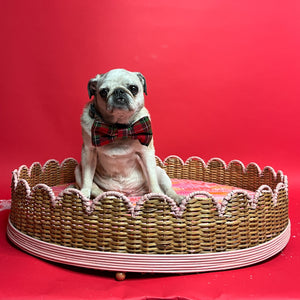 A round rattan dog bed with a pug dog sitting in it. 