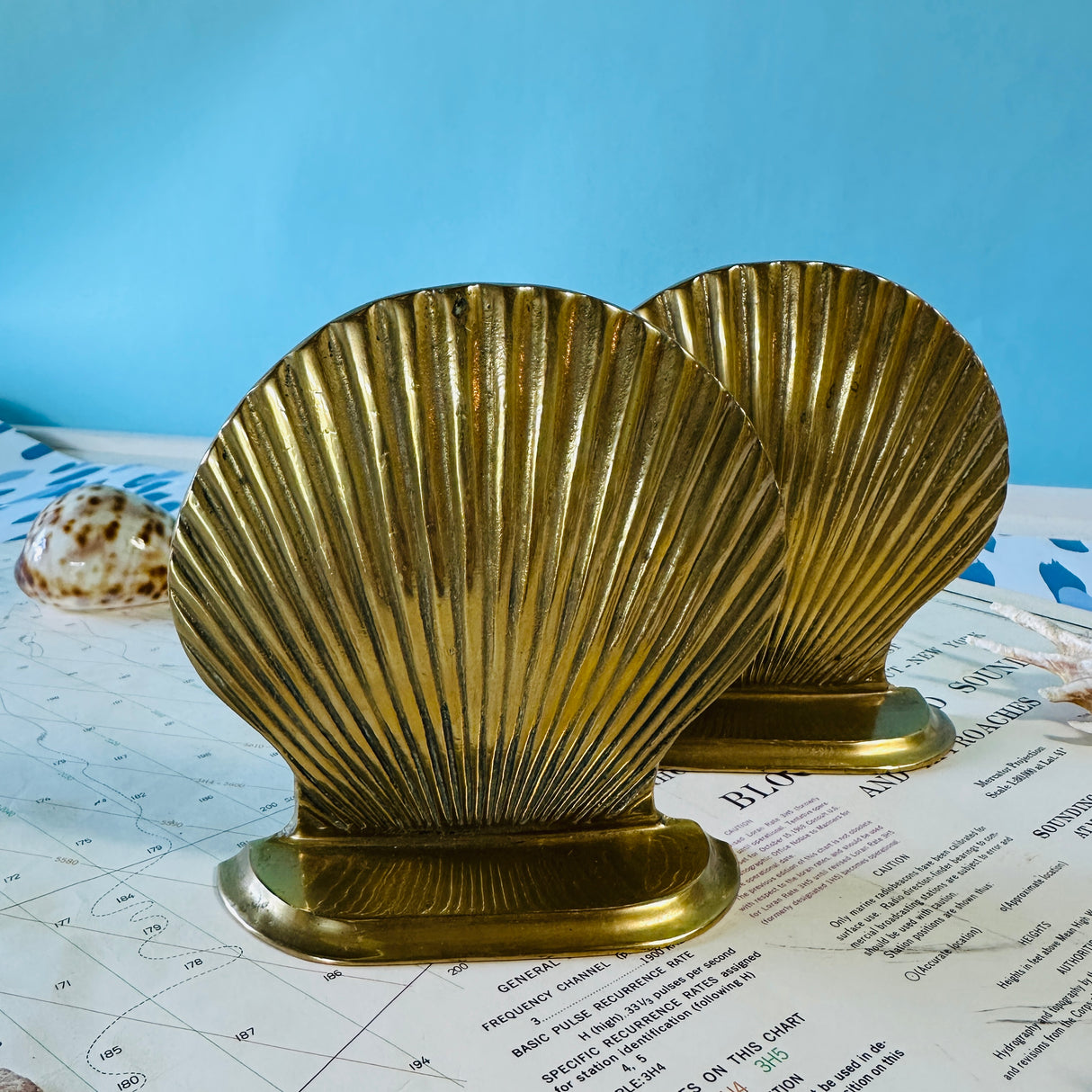 A pair of shiny brass shell bookends