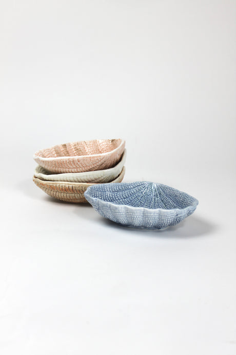 a set of blue, brown, white and pink ceramic shell bowls