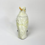 The back of a lidded ceramic cockatoo jar from madcap cottage