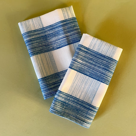 a pair of blue gingham dinner napkins in gin lane print fabric by madap cottage on a light green background