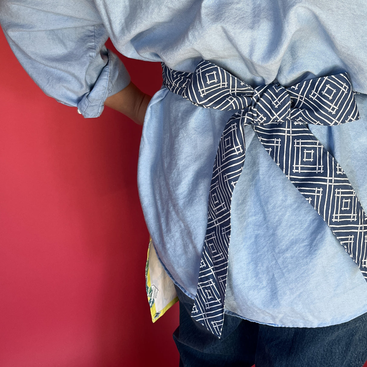 Light blue shirt with a patterned bow over a red background
