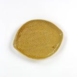 front of a textured yellow lemon shaped plate on a white background