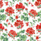 Geranium wallpaper featuring red geraniums on a white background.
