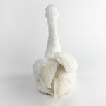 back view of a Feathered Swan Centerpiece in a white background 