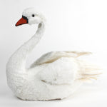 Feathered Swan Centerpiece in a white background
