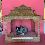 a black french boxer dog lying on a rattan pagoda dog bed