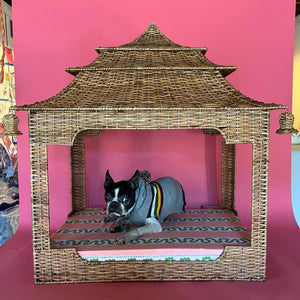 a black french boxer dog lying on a rattan pagoda dog bed
