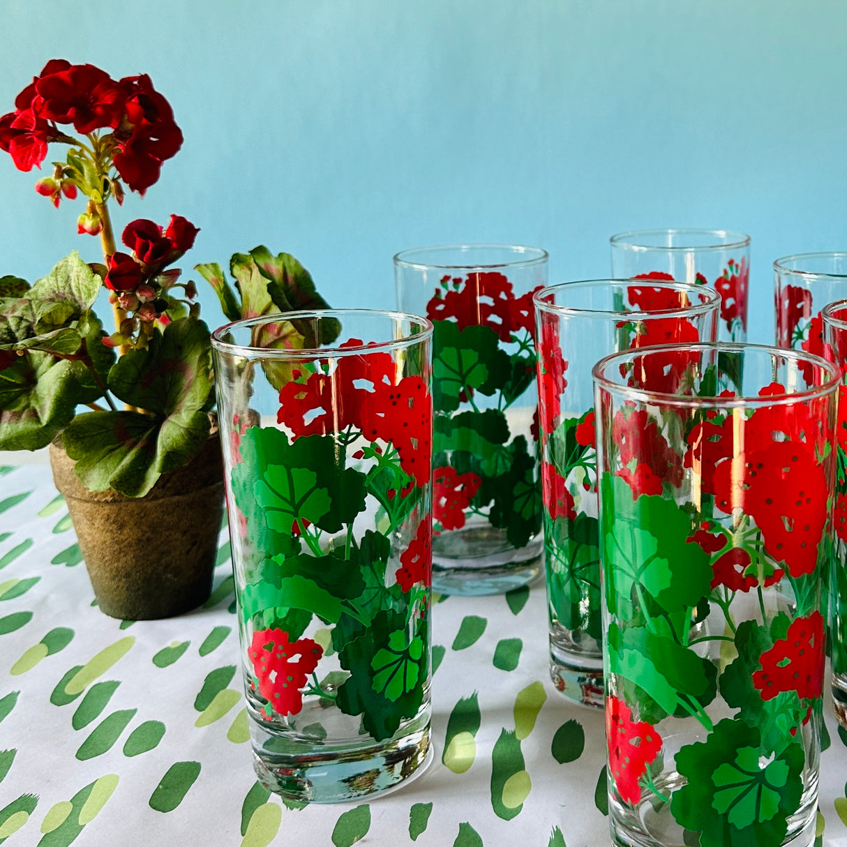 a vintage glasses set of six glasses with red and green geranium motifs.