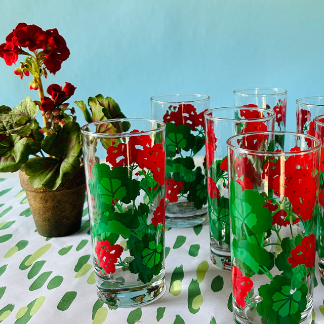 a vintage glasses set of six glasses with red and green geranium motifs.