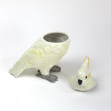 A white ceramic cockatoo from madcap cottage with the lid removed