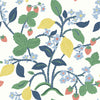 colourful Lemon and strawberry wallpaper