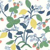 colourful Lemon and strawberry wallpaper