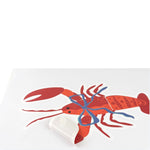 Madcap Cottage lobster coastal wall decal reverse side showing peel-and-stick backing.