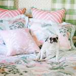 A white pug dog sitting on pink and green chinoiserie bedding from madcap cottage