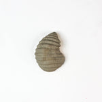 back view of a ceramic oyster shells with shellfish on a white background
