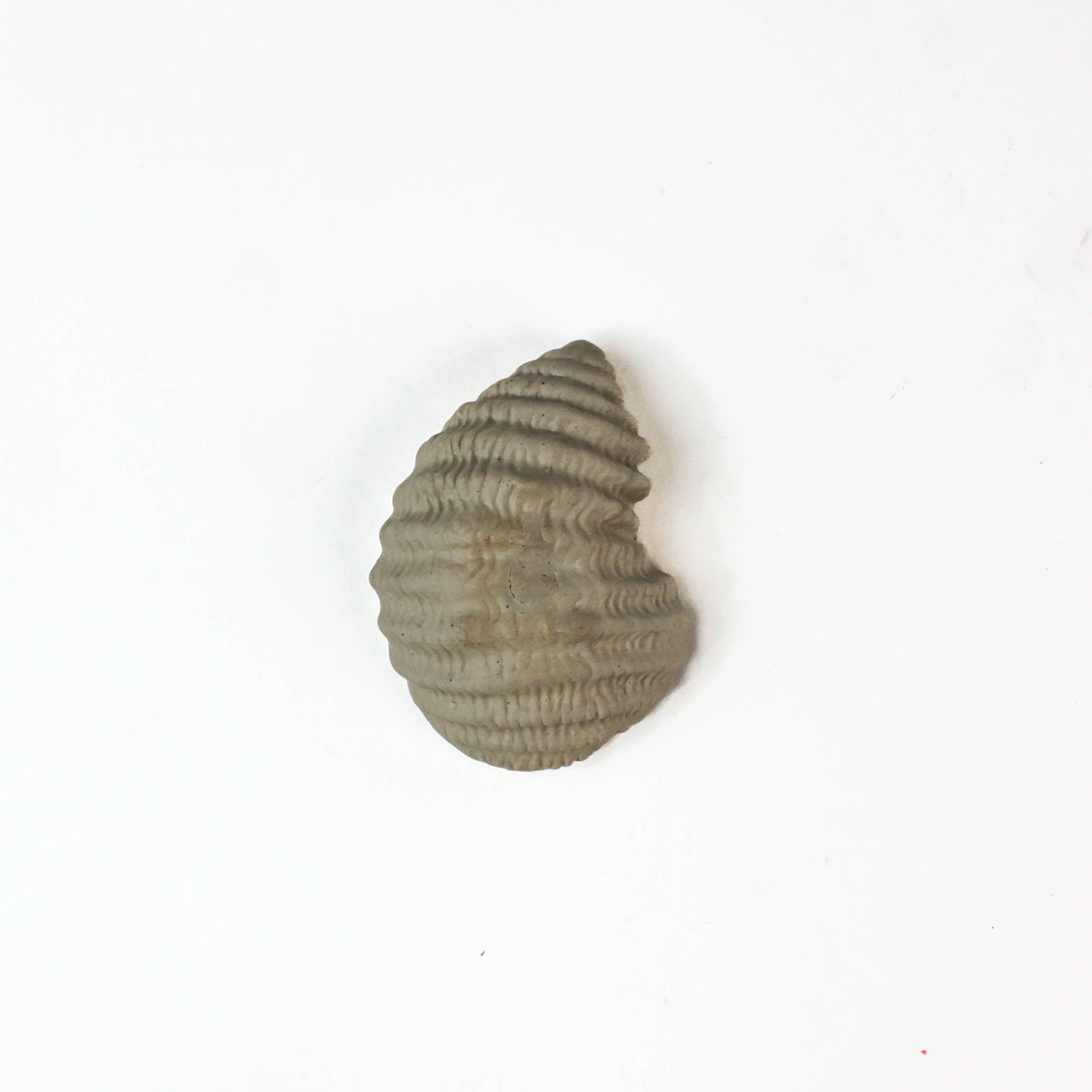 back view of a ceramic oyster shells with shellfish on a white background