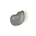 top view of a ceramic oyster shells with shellfish on a white background