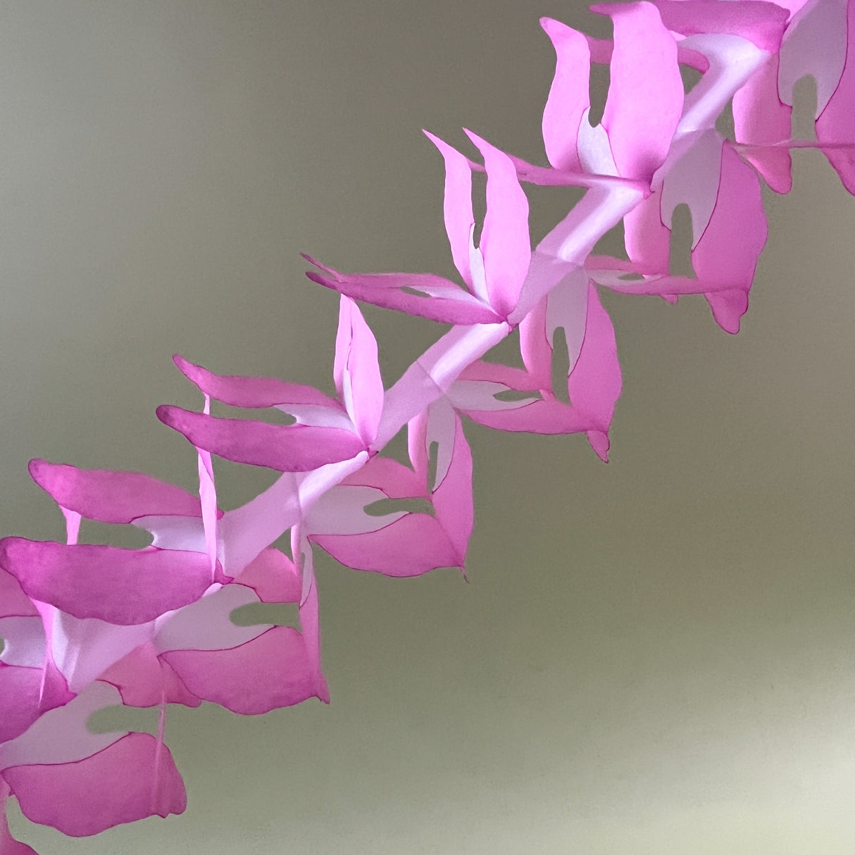 Pink/White Tissue Paper Garland