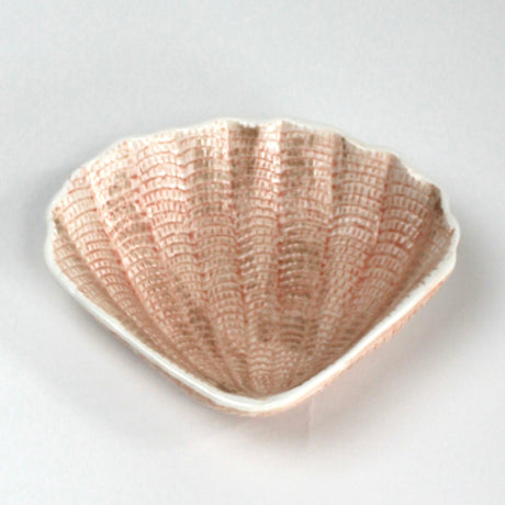a pink ceramic shell plate from madcap cottage