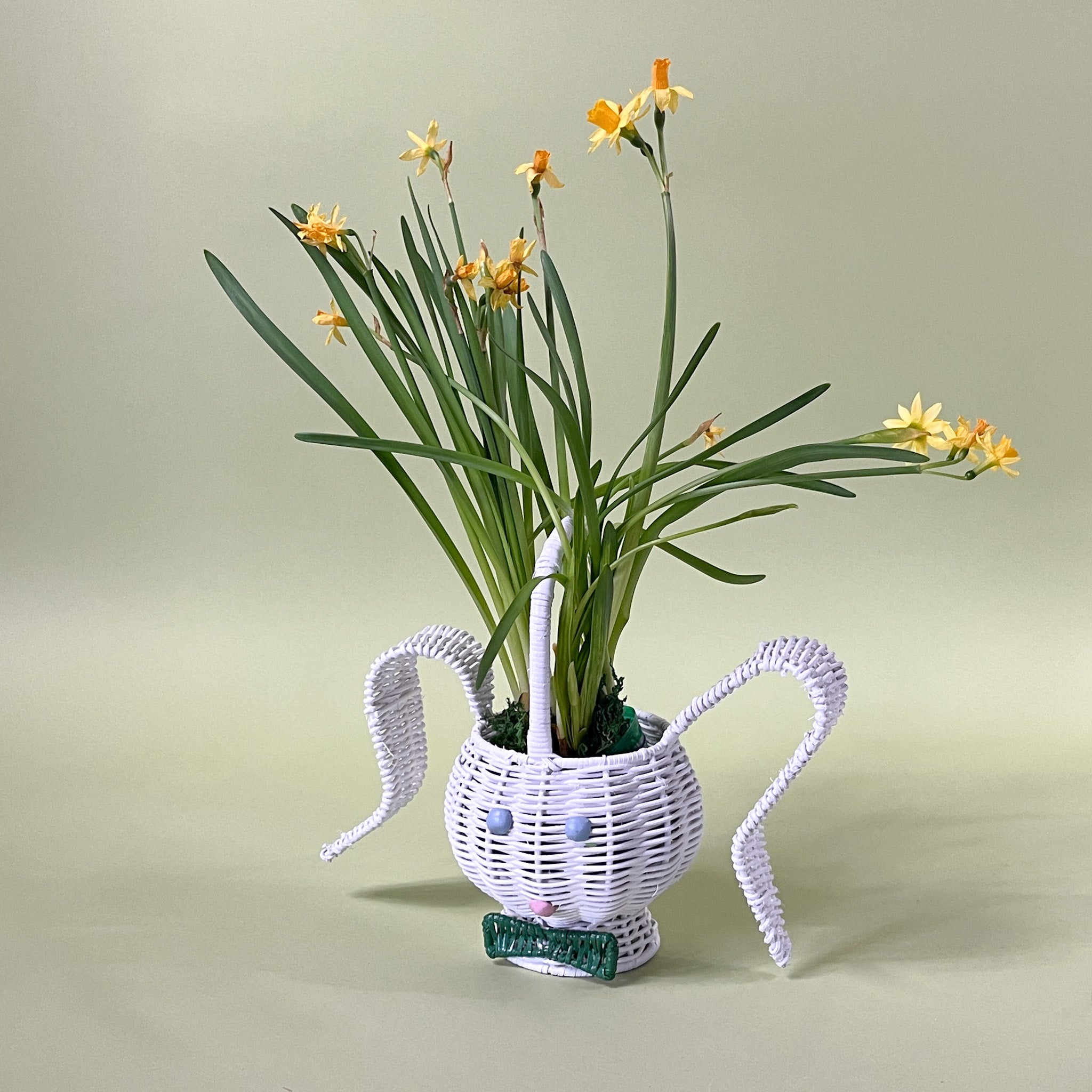 white rattan bunny easter basket with plant in it